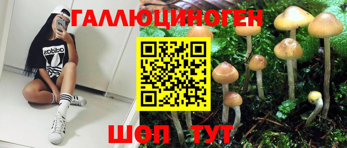 Галлюциногенные грибы прущие грибы Биробиджан